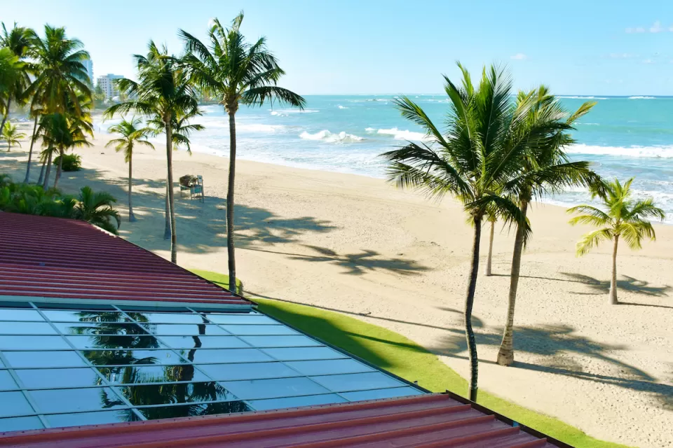 Close-up of rooftop solar panel on sandy peach with tall palm trees.